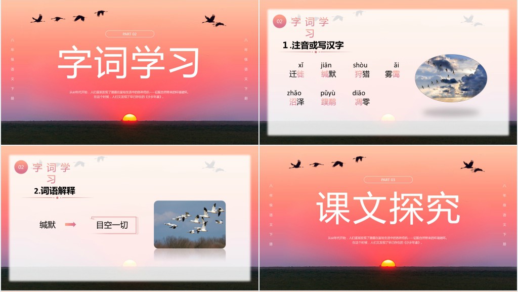 八年级语文下册《大雁归来》PPT课件 八年级语文下册《大雁归来》PPT课件
