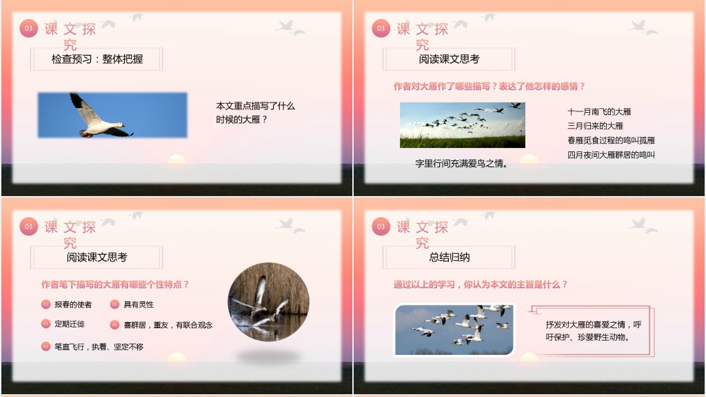 八年级语文下册《大雁归来》PPT课件 八年级语文下册《大雁归来》PPT课件
