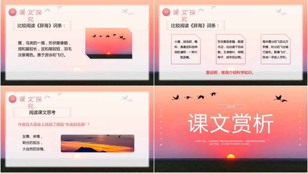 八年级语文下册《大雁归来》PPT课件 八年级语文下册《大雁归来》PPT课件