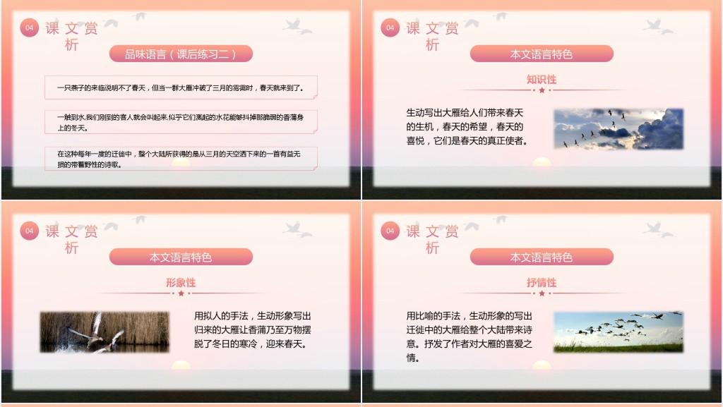 八年级语文下册《大雁归来》PPT课件 八年级语文下册《大雁归来》PPT课件
