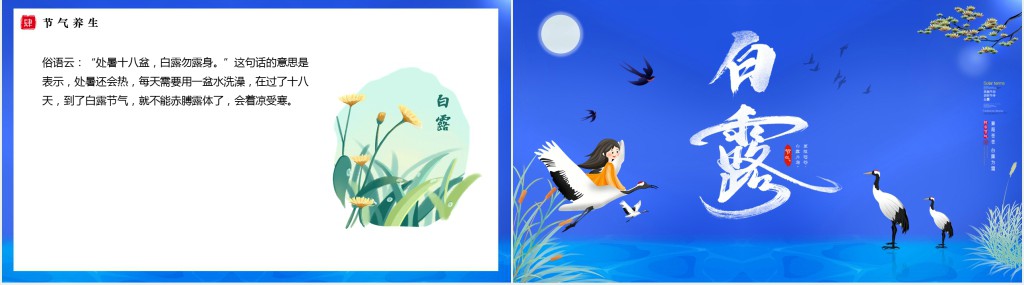 小学生二十四节气白露介绍PPT模板 小学生二十四节气白露介绍PPT模板