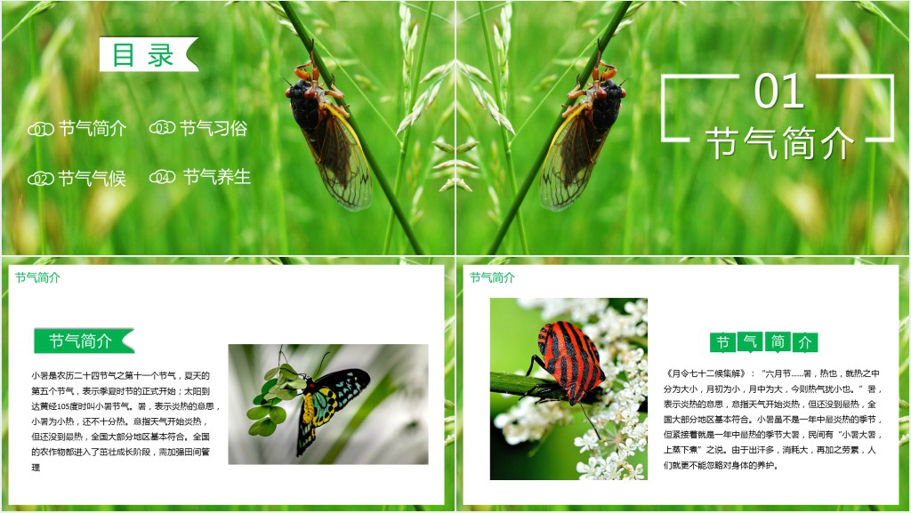 小暑气候特点介绍PPT模板