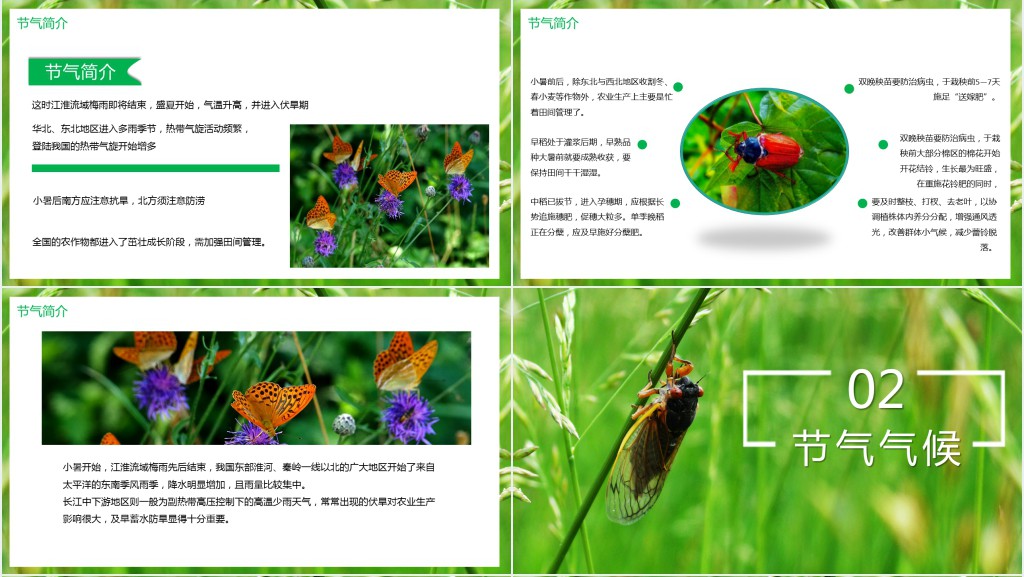 小暑气候特点介绍PPT模板