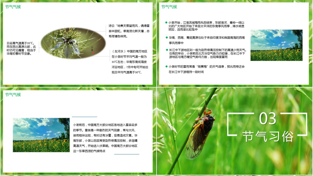 小暑气候特点介绍PPT模板