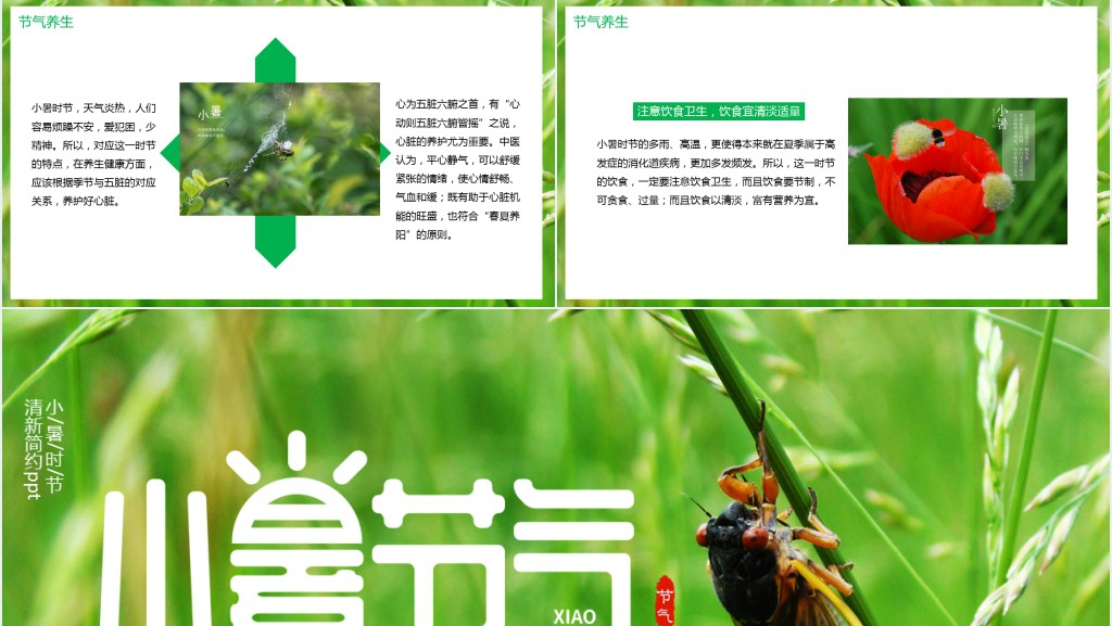 小暑气候特点介绍PPT模板