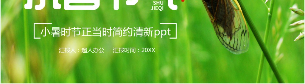 小暑气候特点介绍PPT模板