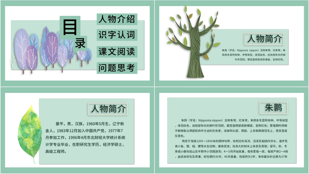 北师大版语文四年级下册朱鹮飞回来了课文PPT课件 北师大版语文四年级下册朱鹮飞回来了课文PPT课件