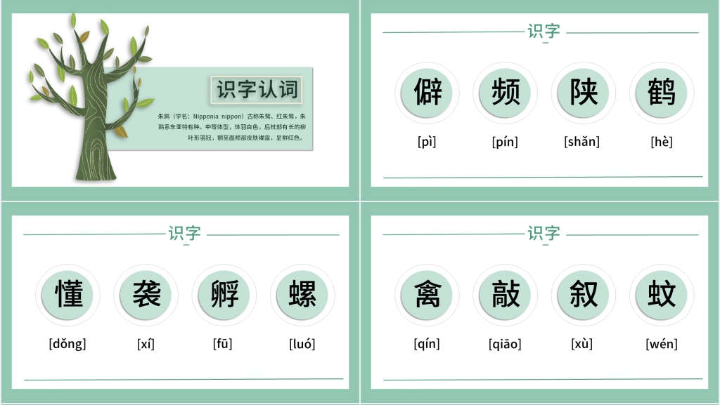 北师大版语文四年级下册朱鹮飞回来了课文PPT课件 北师大版语文四年级下册朱鹮飞回来了课文PPT课件