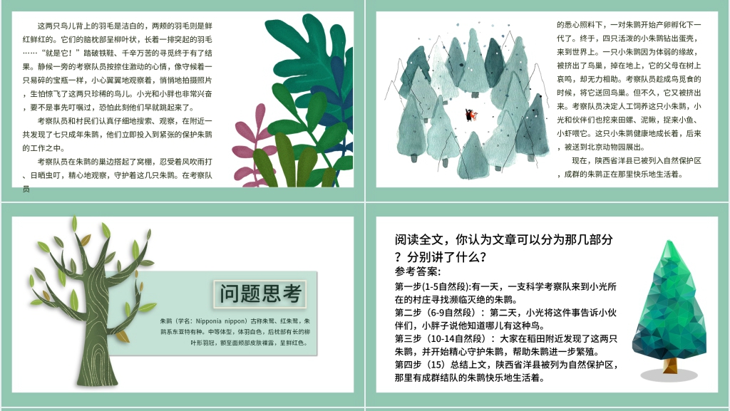 北师大版语文四年级下册朱鹮飞回来了课文PPT课件 北师大版语文四年级下册朱鹮飞回来了课文PPT课件