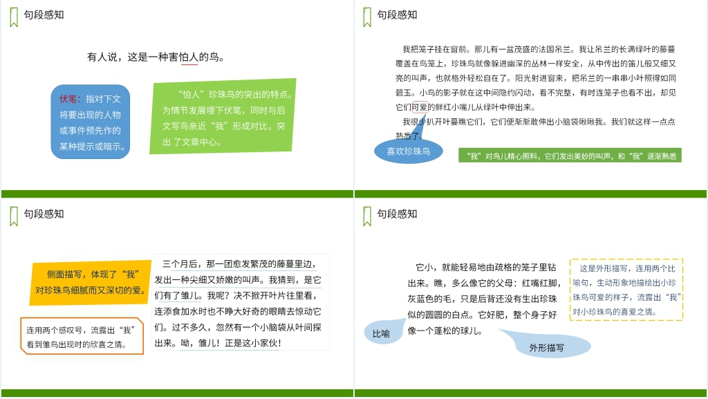 人教版五年级上册语文《珍珠鸟》PPT课件 人教版五年级上册语文《珍珠鸟》PPT课件