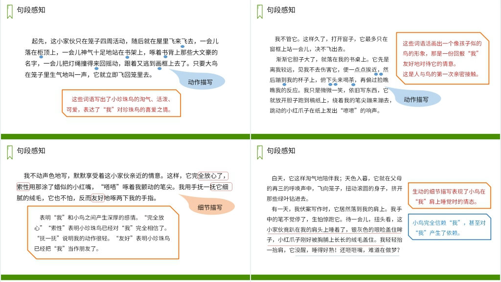 人教版五年级上册语文《珍珠鸟》PPT课件 人教版五年级上册语文《珍珠鸟》PPT课件