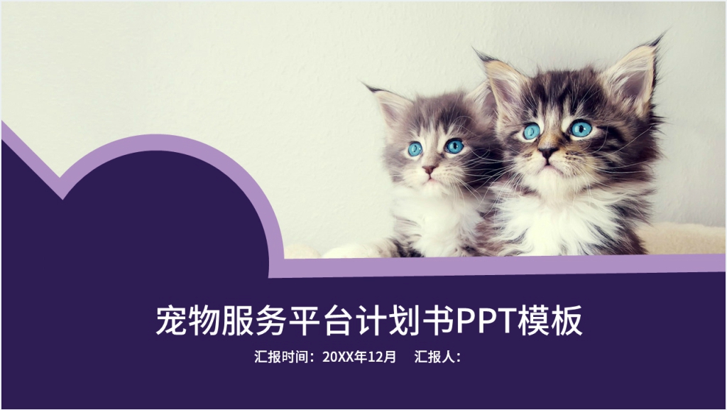 宠物服务平台计划书PPT模板截图