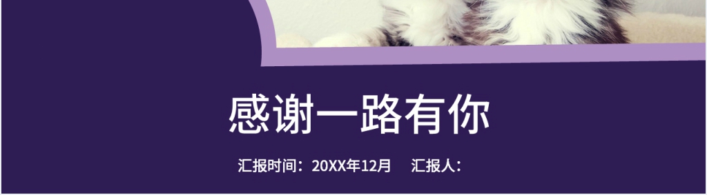 宠物服务平台计划书PPT模板 宠物服务平台计划书PPT模板