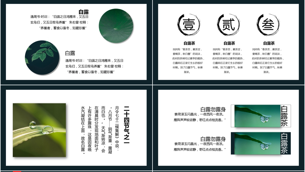 中国风白露节气诗词谚语欣赏PPT模板 中国风白露节气诗词谚语欣赏PPT模板