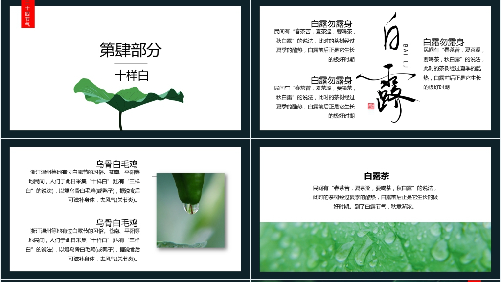 中国风白露节气诗词谚语欣赏PPT模板 中国风白露节气诗词谚语欣赏PPT模板