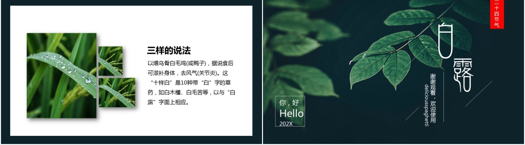 中国风白露节气诗词谚语欣赏PPT模板 中国风白露节气诗词谚语欣赏PPT模板