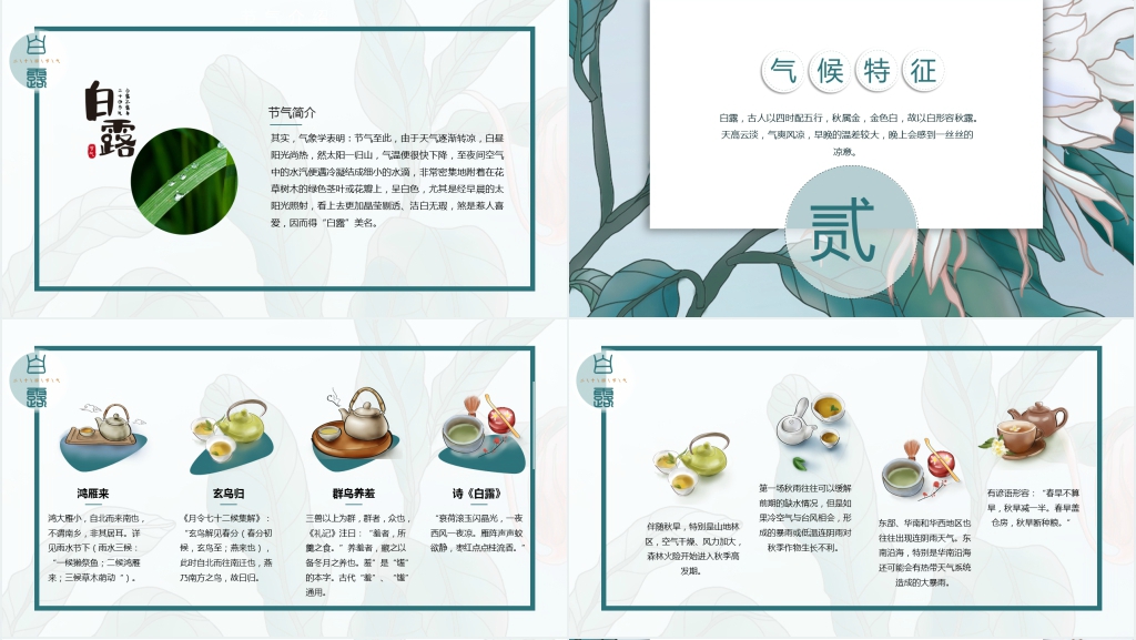 认识24节气白露的教案PPT课件