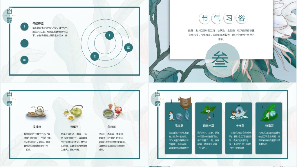 认识24节气白露的教案PPT课件