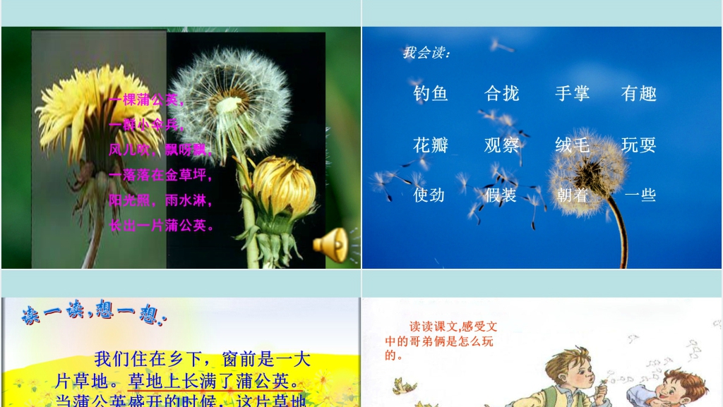 三年级语文金色的草地PPT课件 三年级语文金色的草地PPT课件