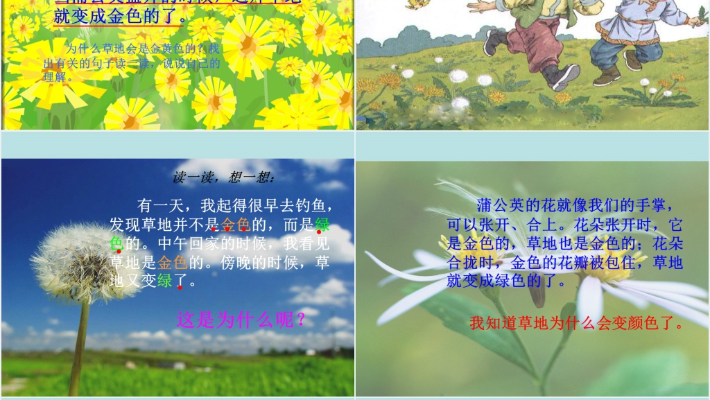 三年级语文金色的草地PPT课件 三年级语文金色的草地PPT课件