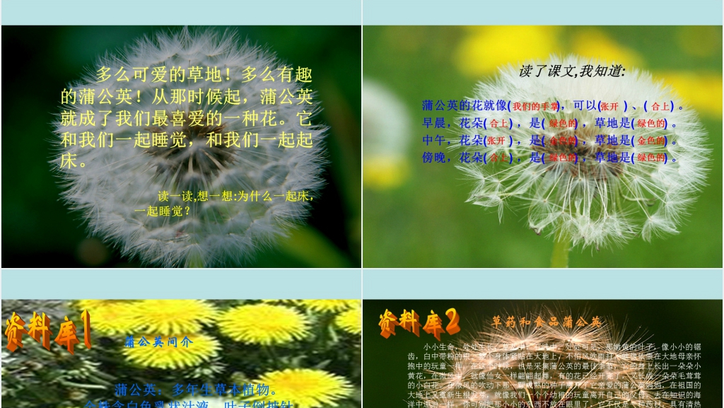 三年级语文金色的草地PPT课件 三年级语文金色的草地PPT课件