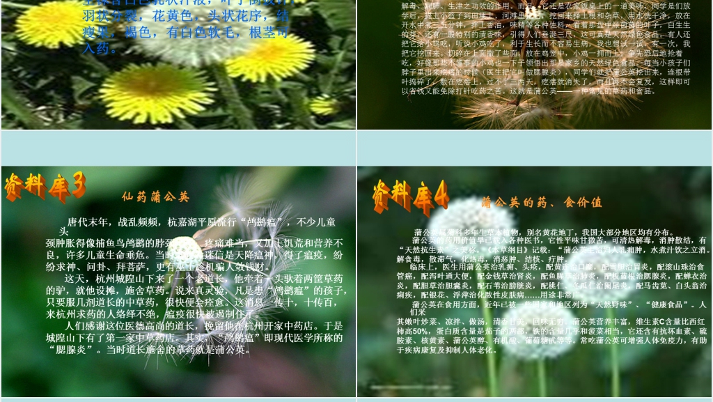 三年级语文金色的草地PPT课件 三年级语文金色的草地PPT课件