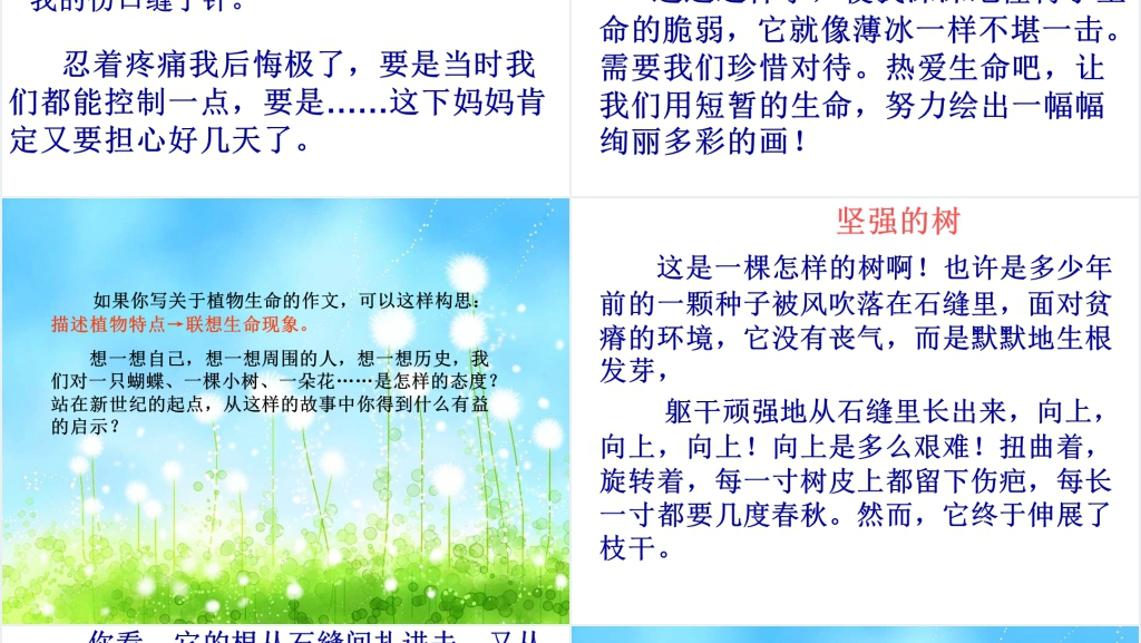 小学语文园地五:习作生命PPT课件 小学语文园地五:习作生命PPT课件