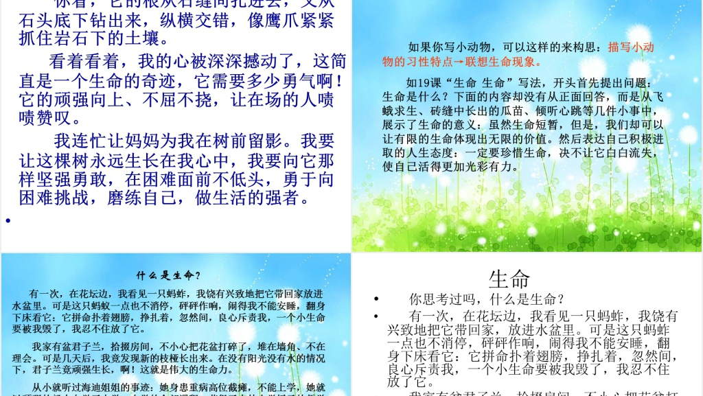 小学语文园地五:习作生命PPT课件 小学语文园地五:习作生命PPT课件