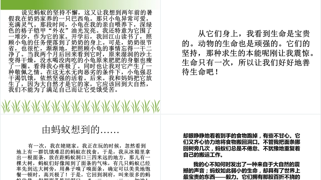 小学语文园地五:习作生命PPT课件 小学语文园地五:习作生命PPT课件
