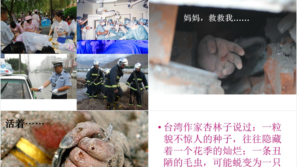 小学语文园地五:习作生命PPT课件 小学语文园地五:习作生命PPT课件
