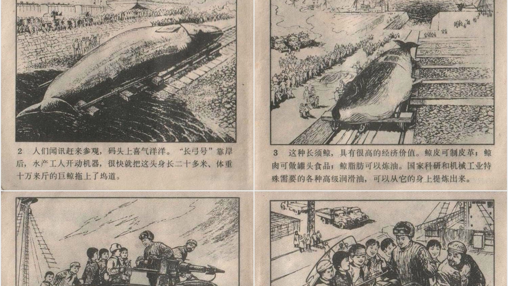 捕鲸记连环画故事PPT模板 捕鲸记连环画故事PPT模板