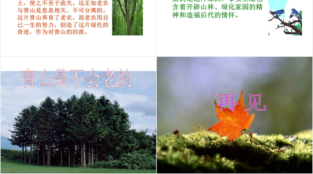 人教版六年级上册语文第16课青山不老PPT课件 人教版六年级上册语文第16课青山不老PPT课件