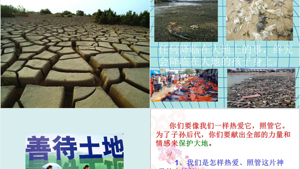 人教版小学语文六年级这片土地是神圣的西雅图PPT课件 人教版小学语文六年级这片土地是神圣的西雅图PPT课件