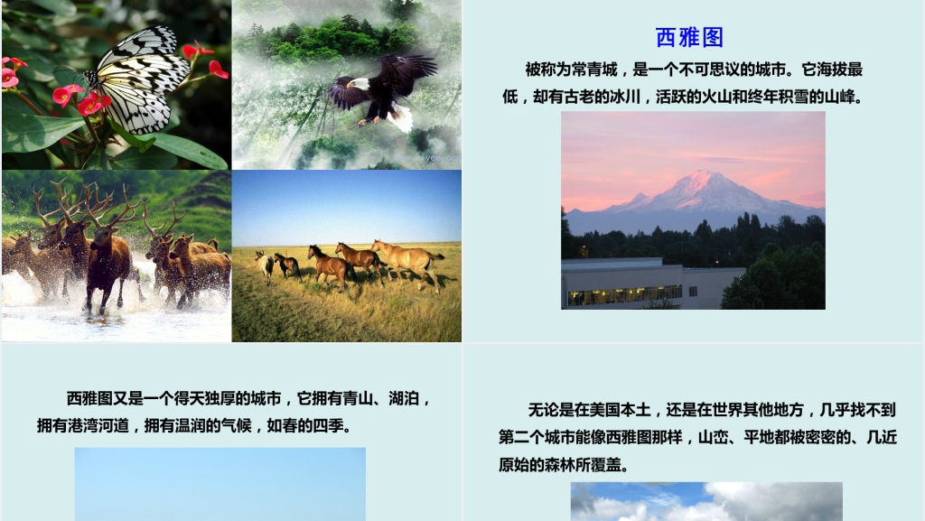 人教版小学语文六年级这片土地是神圣的西雅图PPT课件 人教版小学语文六年级这片土地是神圣的西雅图PPT课件