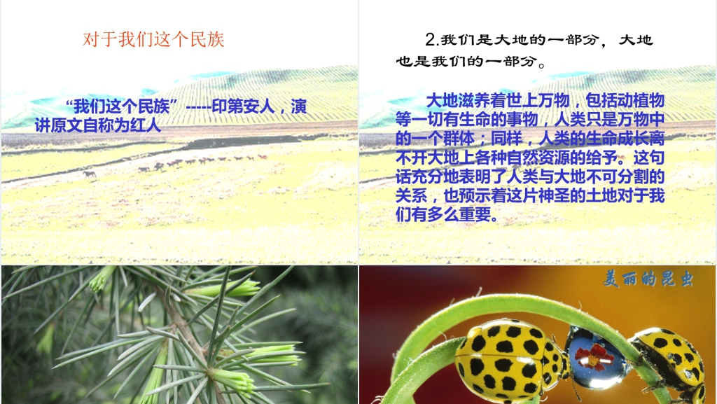 人教版小学语文六年级这片土地是神圣的西雅图PPT课件 人教版小学语文六年级这片土地是神圣的西雅图PPT课件