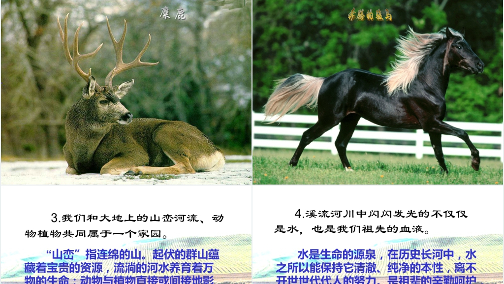 人教版小学语文六年级这片土地是神圣的西雅图PPT课件 人教版小学语文六年级这片土地是神圣的西雅图PPT课件