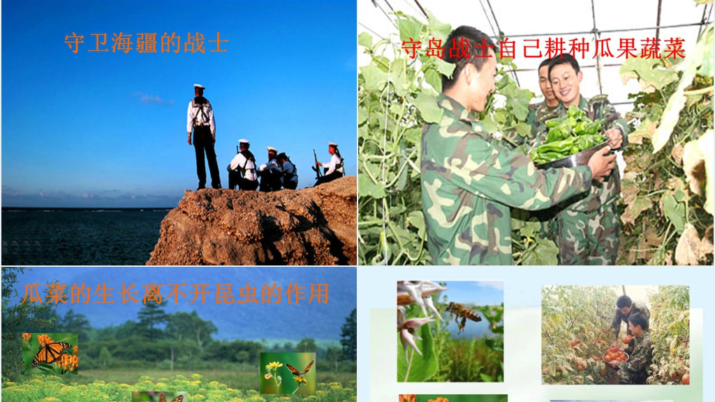 人教版彩色的翅膀教案PPT课件 人教版彩色的翅膀教案PPT课件