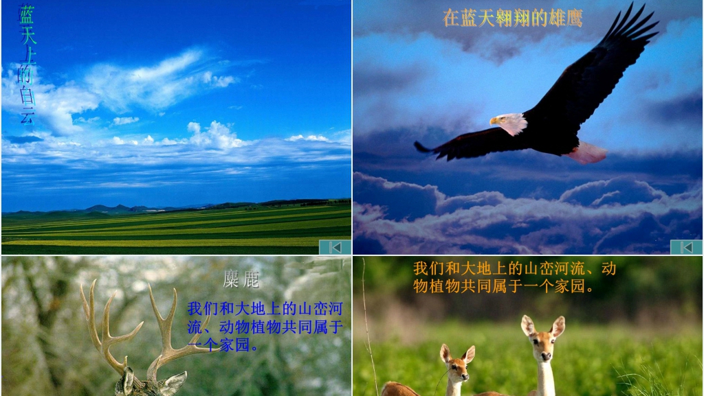 六年级语文这片土地是神圣的PPT课件 六年级语文这片土地是神圣的PPT课件