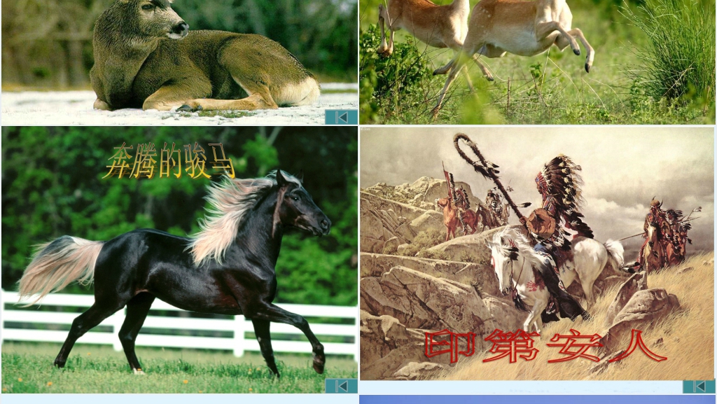 六年级语文这片土地是神圣的PPT课件 六年级语文这片土地是神圣的PPT课件
