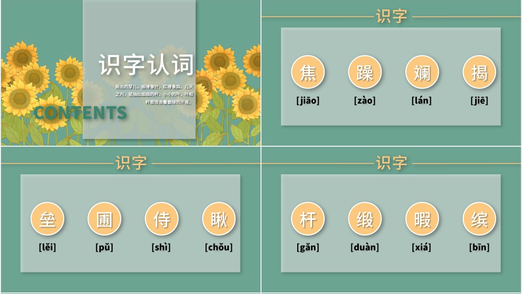 北师大版四年级语文上册《种一片太阳花》PPT课件 北师大版四年级语文上册《种一片太阳花》PPT课件