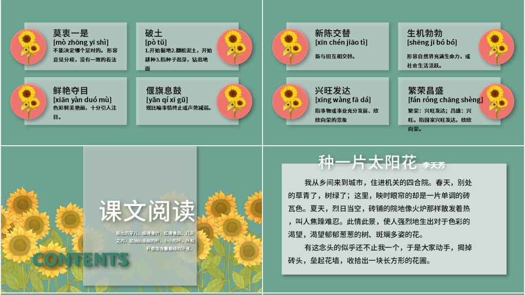 北师大版四年级语文上册《种一片太阳花》PPT课件 北师大版四年级语文上册《种一片太阳花》PPT课件