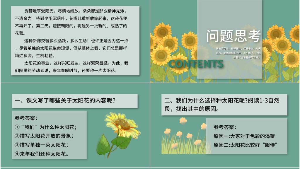 北师大版四年级语文上册《种一片太阳花》PPT课件 北师大版四年级语文上册《种一片太阳花》PPT课件