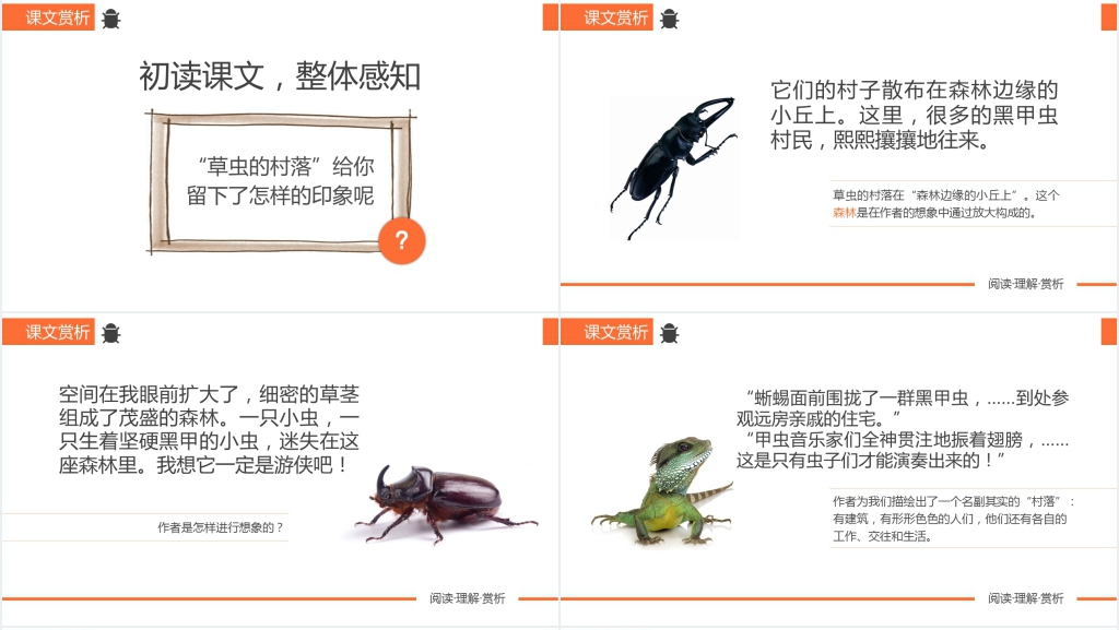 人教版小学六年级语文《草虫的村落》课文教案PPT课件 人教版小学六年级语文《草虫的村落》课文教案PPT课件