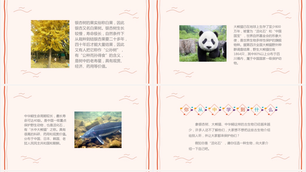 小学语文《活化石》PPT课件