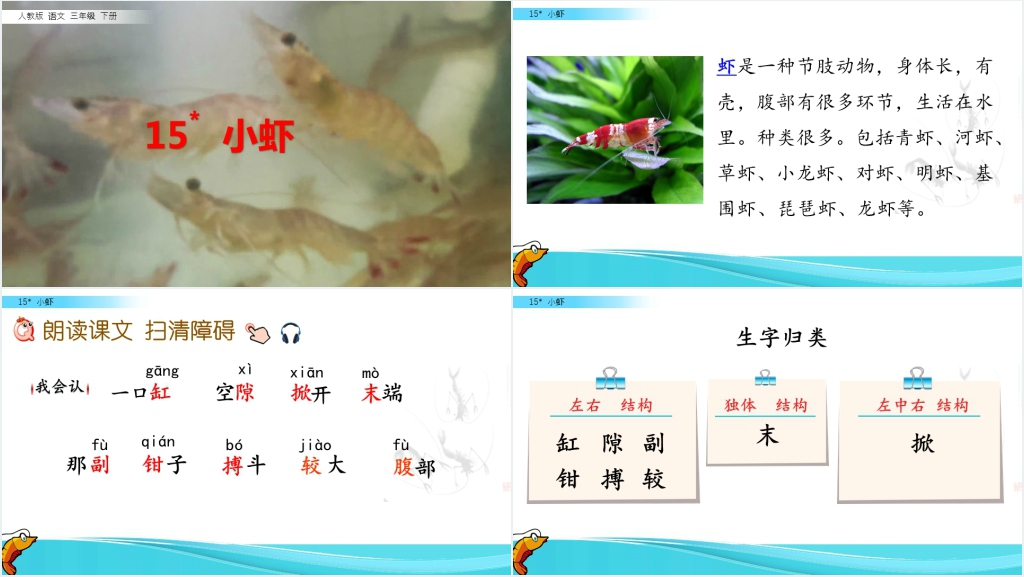 三年级语文《小虾》PPT课件 三年级语文《小虾》PPT课件