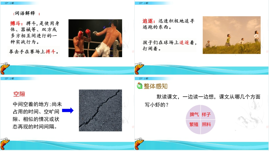 三年级语文《小虾》PPT课件 三年级语文《小虾》PPT课件