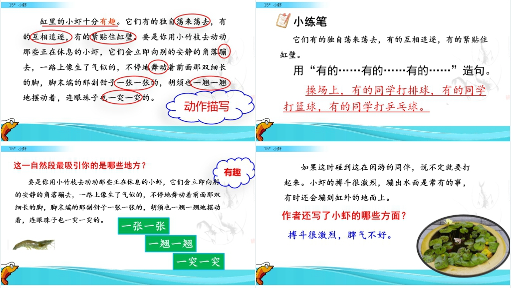 三年级语文《小虾》PPT课件 三年级语文《小虾》PPT课件