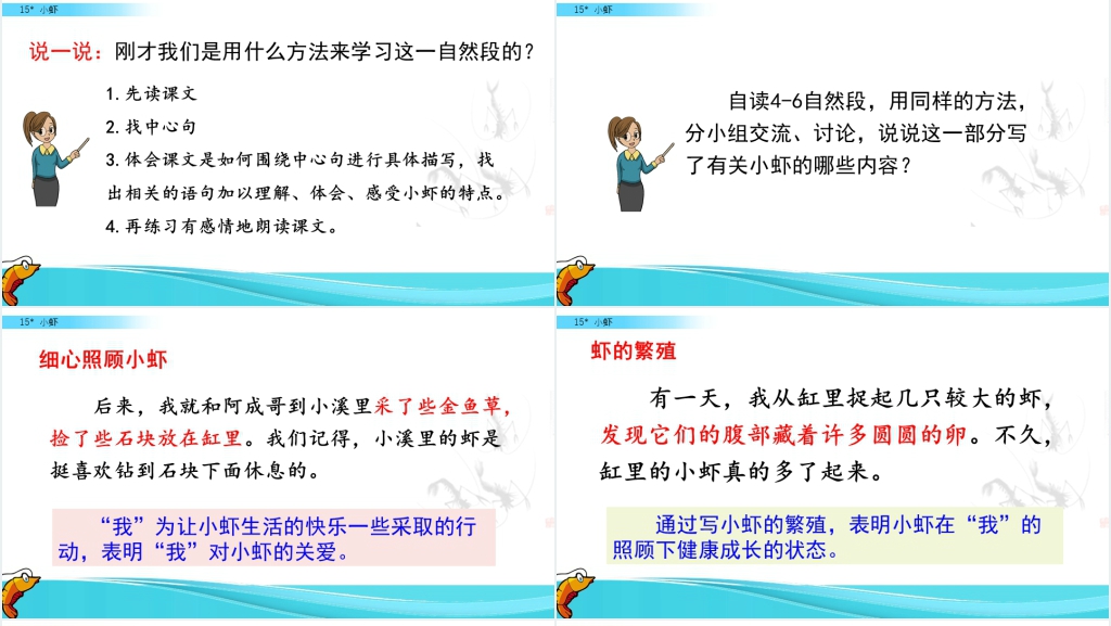 三年级语文《小虾》PPT课件 三年级语文《小虾》PPT课件