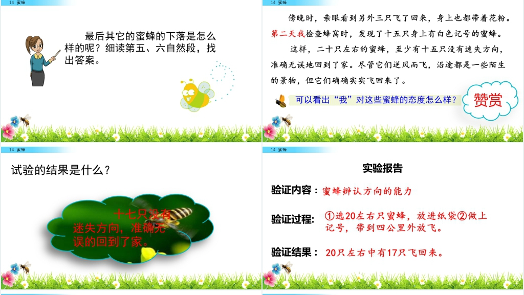 三年级《蜜蜂》PPT课件 三年级《蜜蜂》PPT课件