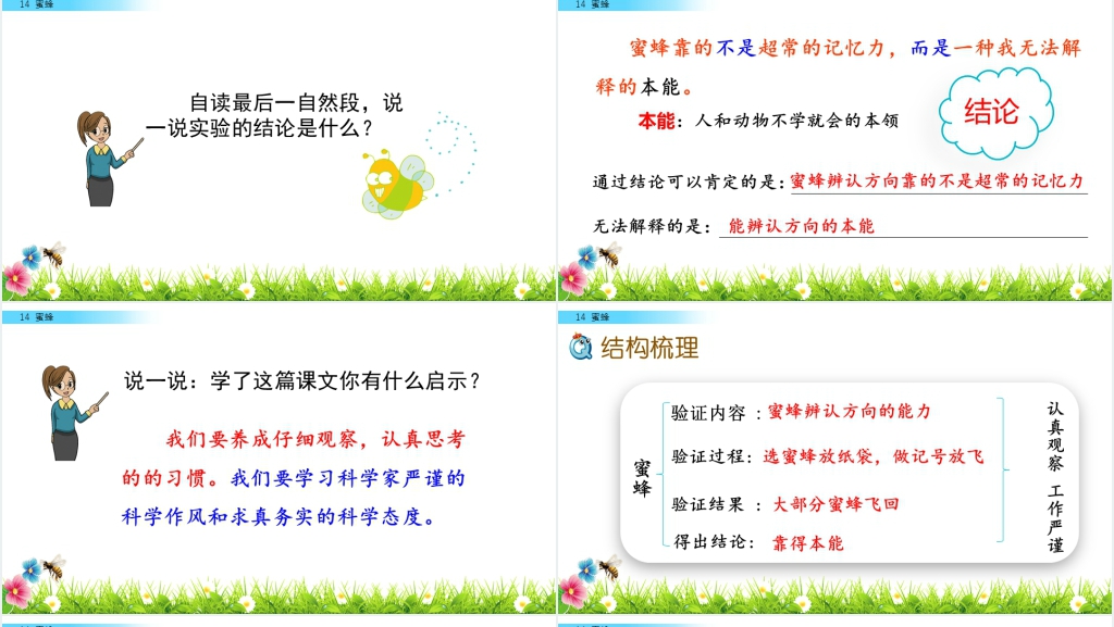 三年级《蜜蜂》PPT课件 三年级《蜜蜂》PPT课件